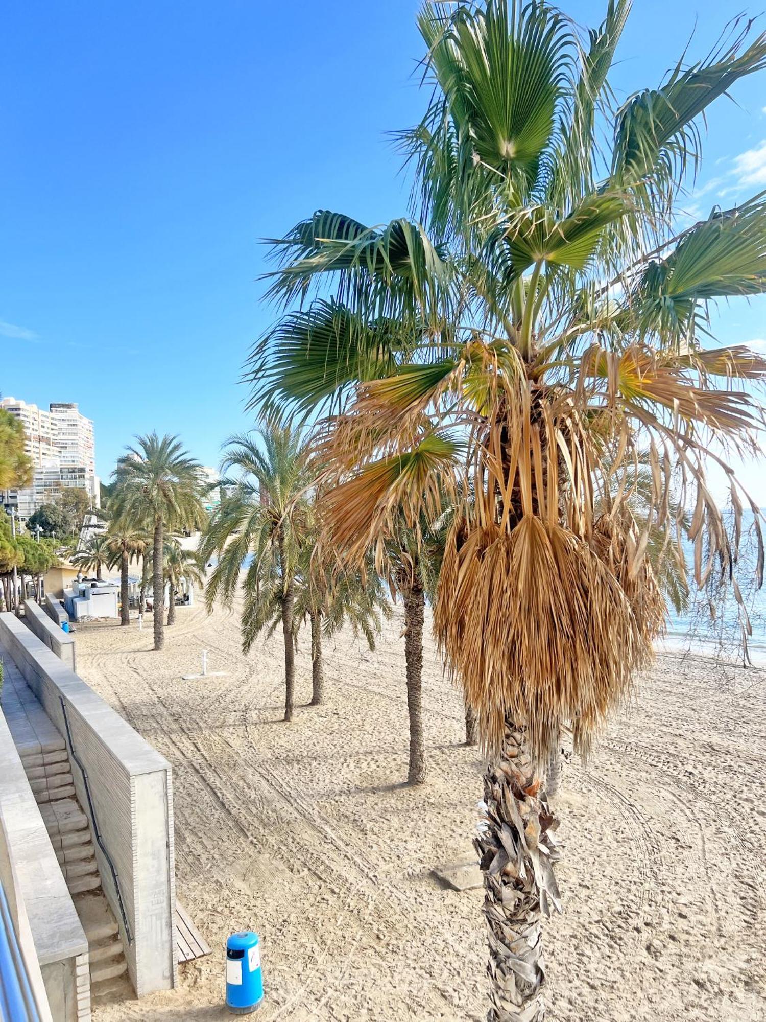 A 100 Metros De La Playa. Parking Gratuito Privado Apartamento